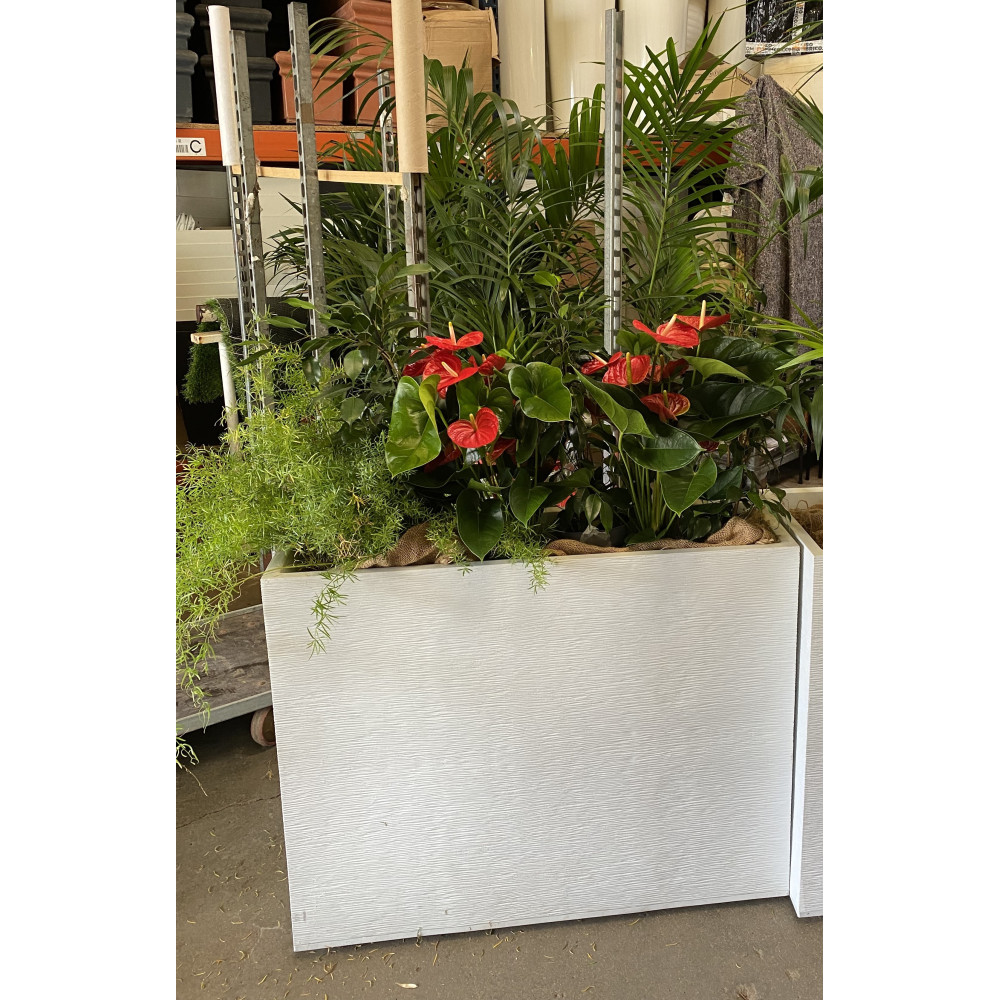 BAC MURET GRAPHIT 100X30X80 AVEC PLANTES h150cm