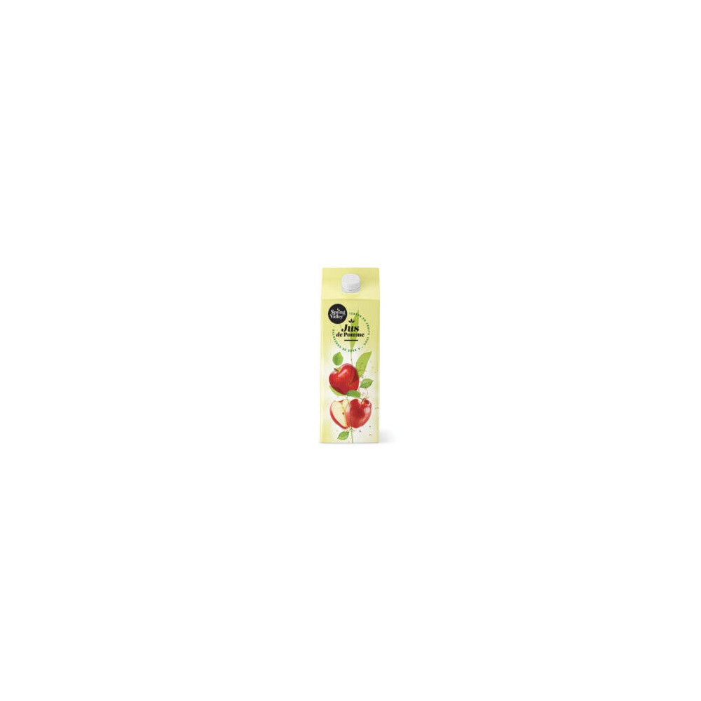 SPRING VALLEY JUS DE FRUITS 6x BRIQUES JUS DE POMME DE 1L